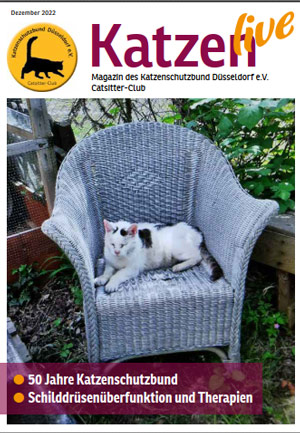 Katzen live 2022