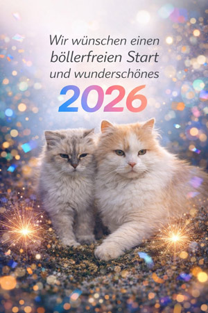 Neujahr 2026klein