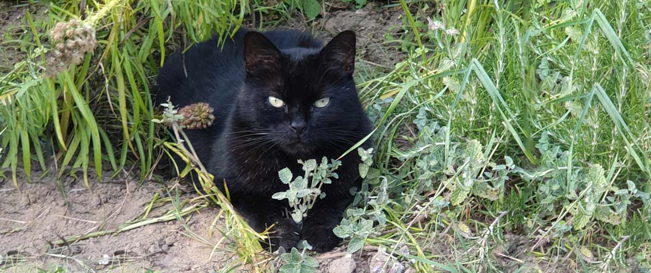 KSB aktuelles neu 001