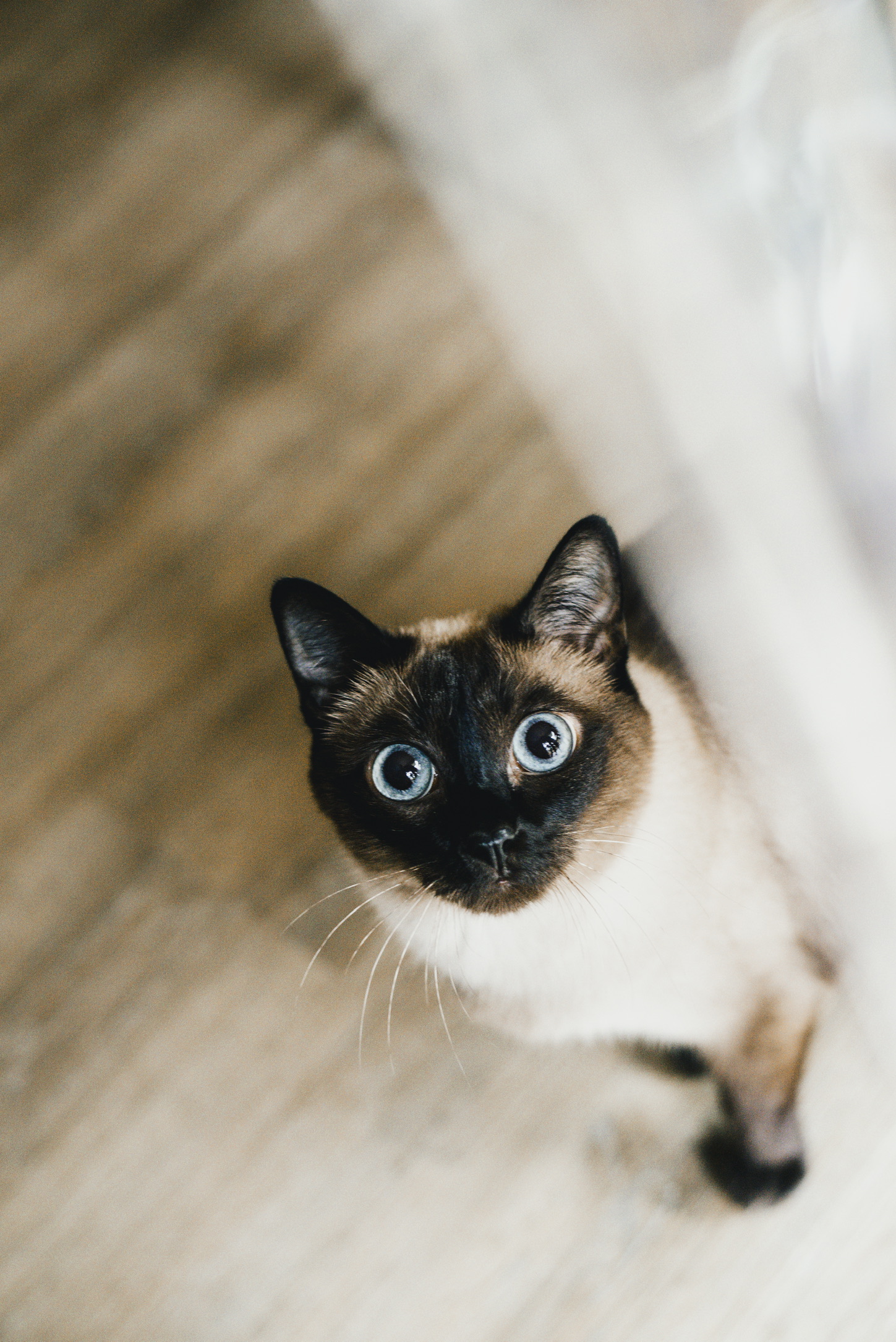 115DC5C6 4075 4454 A69B A525725FDF02 1 102 o