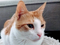 2025 02 25 Kater Moses 00