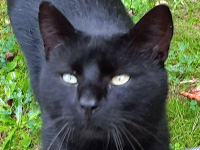 2025 06 30 Kater Bailey 00