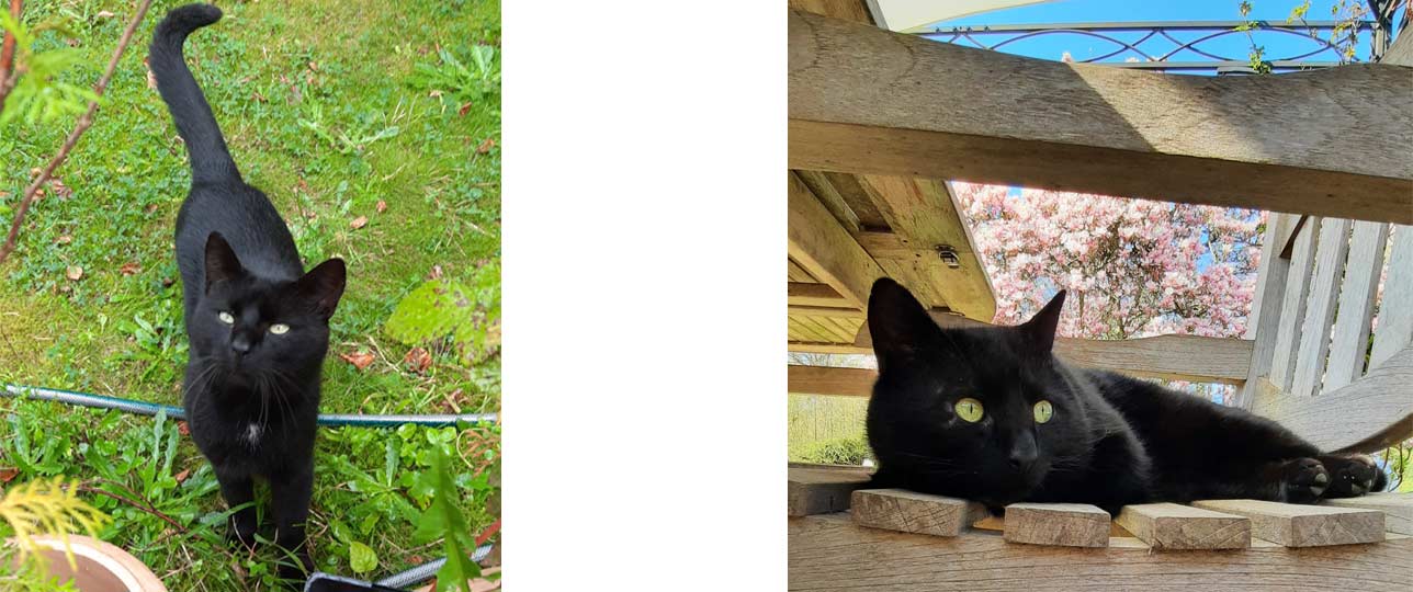 2025 06 30 Kater Bailey 01