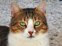 2025 07 27 Kater Milow 00