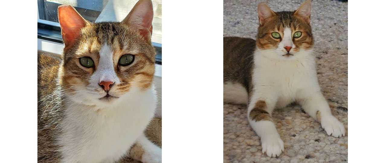 2025 07 27 Kater Milow 02