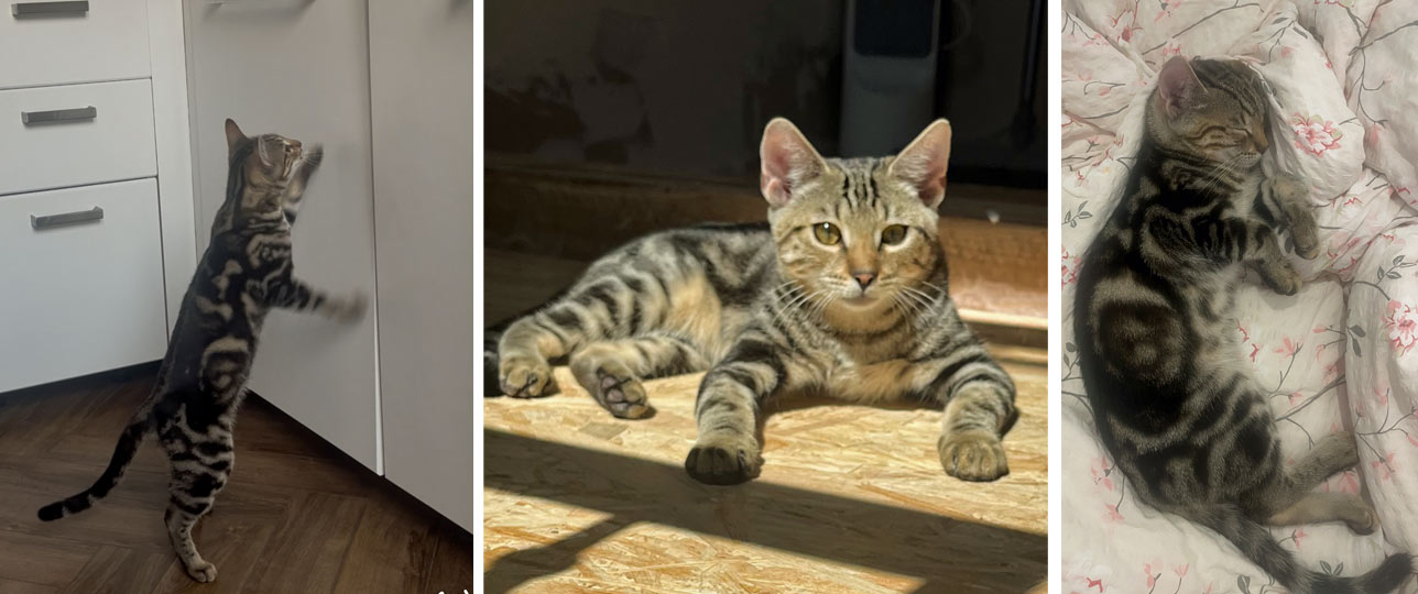 2025 09 12 Kater Dominik 01