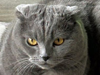 2025 10 10 Totti und Letti 00