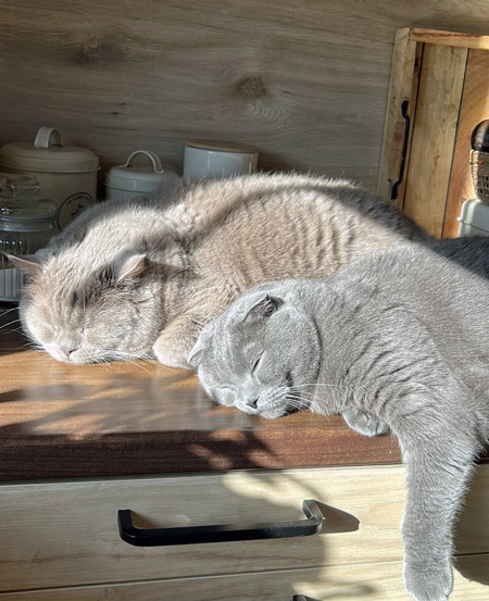 2025 10 10 Totti und Letti 01