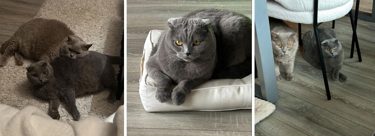 Totti und Letti 2025 10 10 Totti und Letti 02