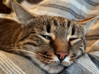 2025 12 04 Kater Cezar 00