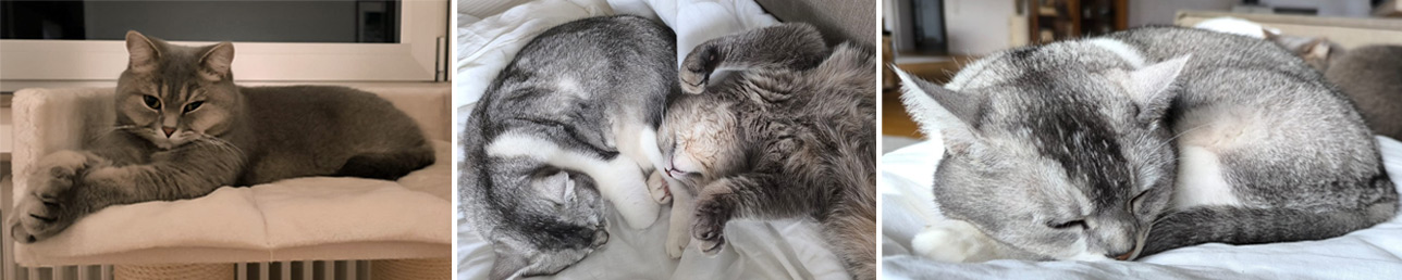 Alyah und Milan 2026 02 24 Alyah Milan 02