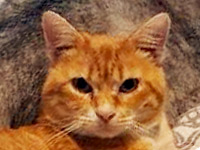 2026 Fundkater Charly 00
