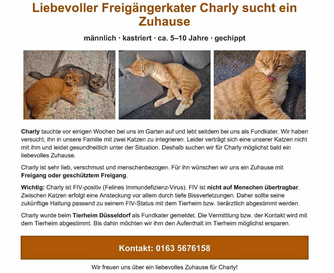 2026 Fundkater Charly 02